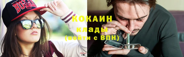 хмурый Алексин