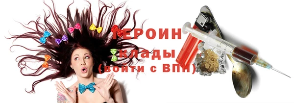 хмурый Алексин