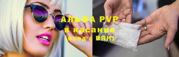 хмурый Алексин