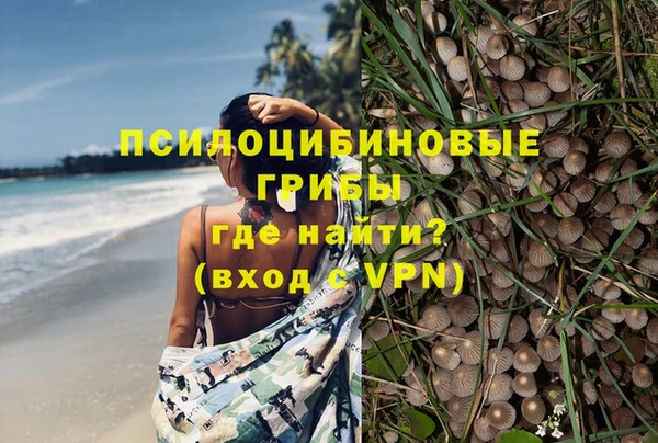 эйфоретик Абаза