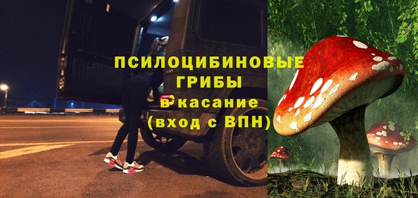 хмурый Алексин