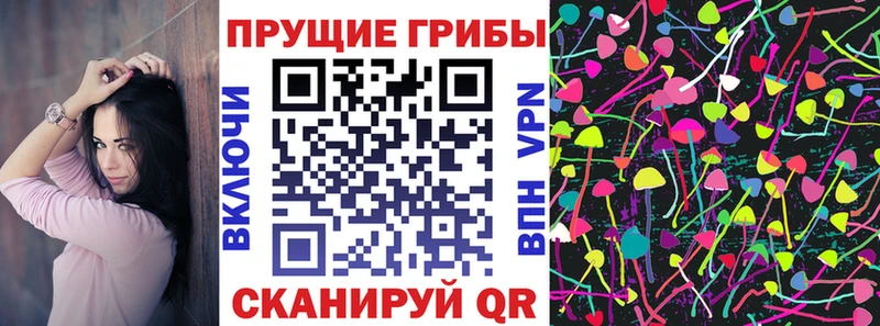 наркошоп  Шлиссельбург  Галлюциногенные грибы ЛСД 