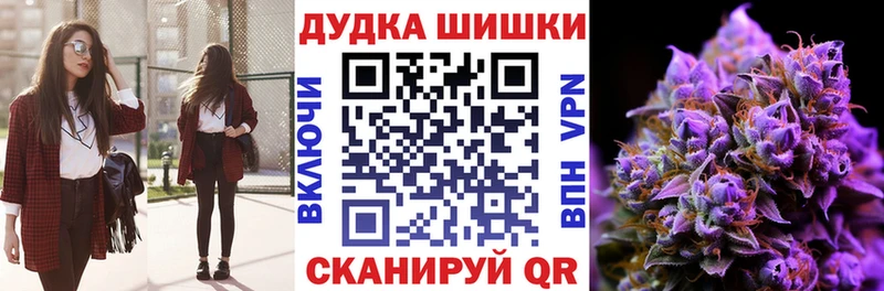 купить   Шлиссельбург  Каннабис Amnesia 